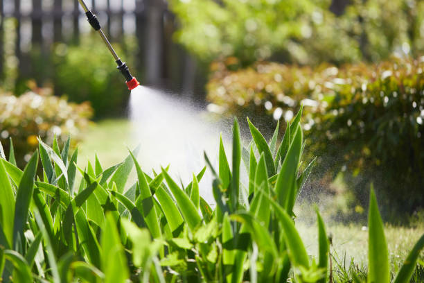 24/7 Emergency Mosquito Control experts in Vanceburg, KY
